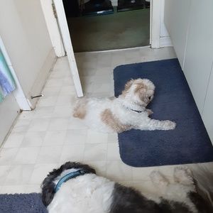 Meet your Posher, Towanda